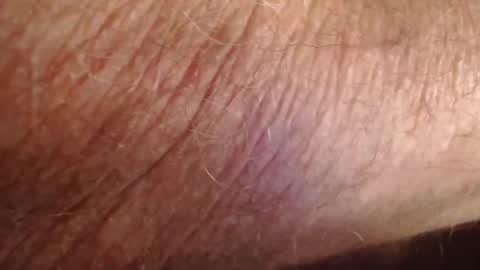 phil6369000 online show from December 19, 4:47 pm