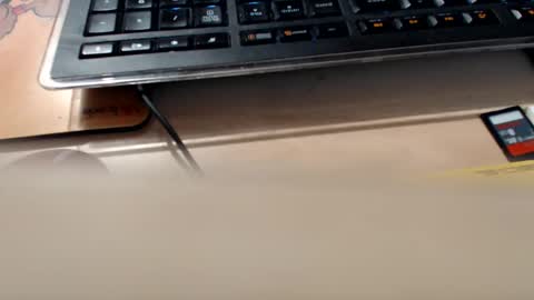 pier49x online show from September 11, 1:17 am