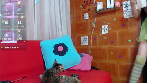 Sky online show from November 4, 8:30 pm