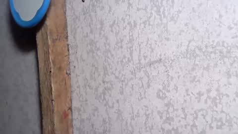 Snapshot of pinay_yummy28 chatting on December 2, 8:22 pm pinay_yummy28 online show from December 2, 8:22 pm