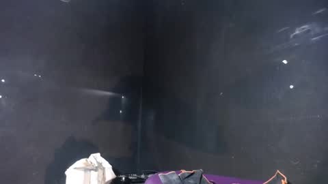 pirata_privado online show from December 5, 10:35 am