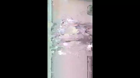 pitoloko73 online show from April 5, 9:39 am