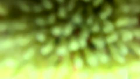 Snapshot of pitt821 chatting on February 4, 9:09 pm Mike online show from February 4, 9:09 pm