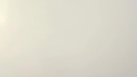 PeggedBiGuy online show from February 12, 8:53 am