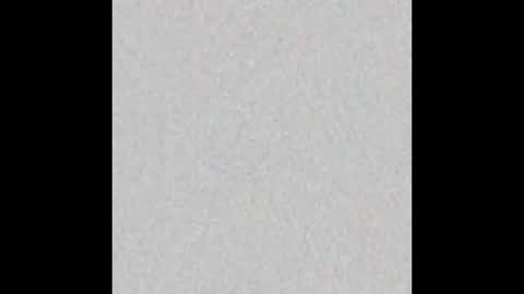 PLADPLAS online show from February 16, 7:59 am