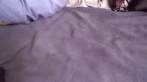 platoniclov online show from November 9, 5:50 am