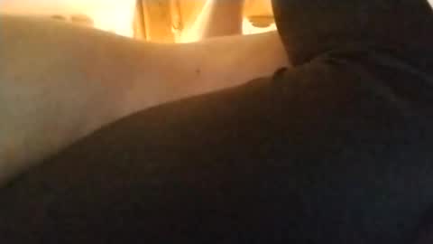 Snapshot of playfulpair7982 chatting on November 5, 5:35 pm Nichole Vixen Jacob online show from November 5, 5:35 pm