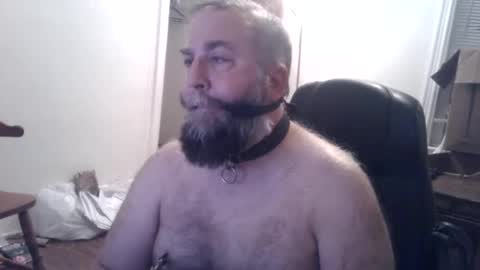 Snapshot of pleasurepuppt chatting on December 3, 1:52 am pleasurepuppt online show from December 3, 1:52 am