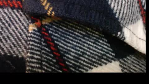 pllkgh45ymn online show from September 10, 4:40 pm