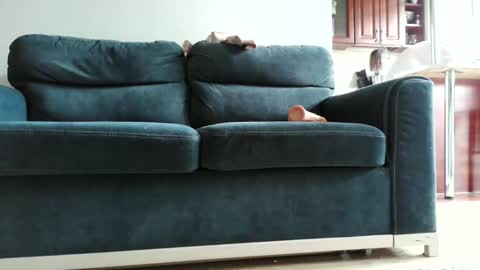 Snapshot of pokusss chatting on January 15, 1:05 pm pokusss online show from January 15, 1:05 pm