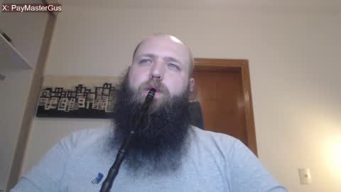 Bear online show from April 15, 4:41 am