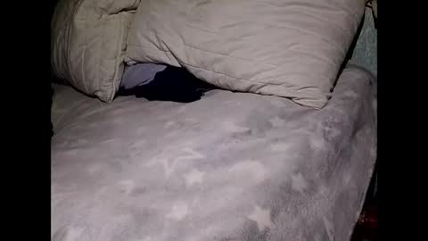 Snapshot of pollachico chatting on November 28, 8:06 am pollachico online show from November 28, 8:06 am