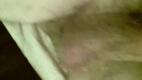 OD online show from November 26, 7:48 pm