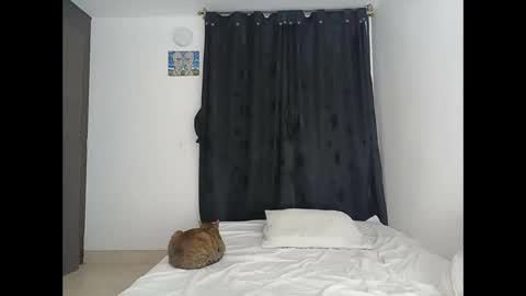 porcelainlux online show from March 16, 1:22 am