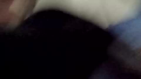 PipeLayerPlayer007 online show from April 8, 4:34 am