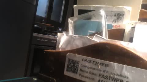 predator19491 online show from April 11, 8:07 am