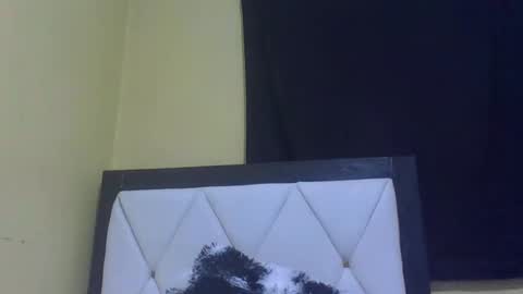 lynn online show from February 27, 7:14 pm