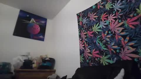 Libra Lamont online show from September 13, 2:33 am