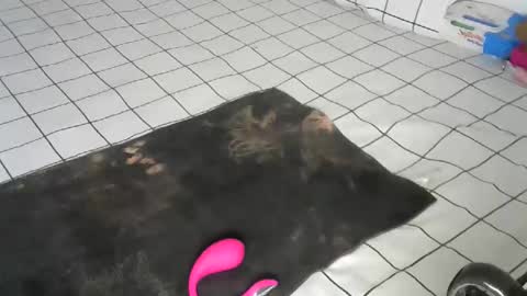 Pretty doll online show from December 22, 9:39 am