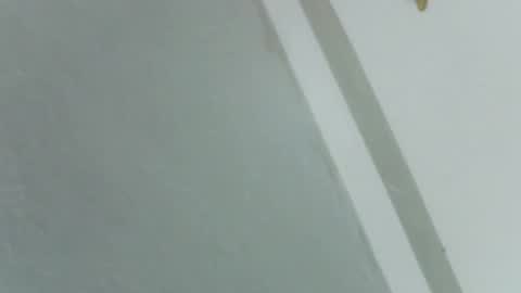 Snapshot of pretty_rose_ chatting on November 14, 8:24 am Rose online show from November 14, 8:24 am