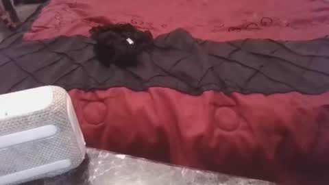 prettyp7729206 online show from November 3, 9:27 pm