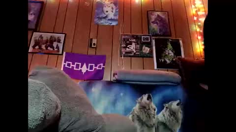 prettysolid7 online show from February 9, 10:52 am