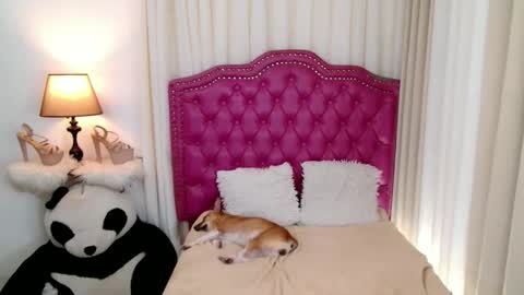 Snapshot of princessyanzy chatting on September 13, 5:57 pm princessyanzy1 online show from September 13, 5:57 pm