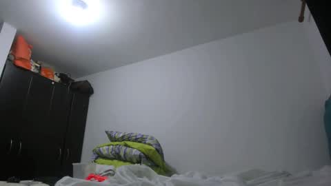 Snapshot of priscilasmiith25 chatting on February 24, 4:27 am PriscilaSmiith online show from February 24, 4:27 am