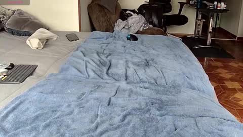 Probardetodo independent model online show from February 1, 1:42 pm