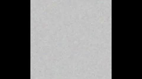 prostatepete online show from February 1, 11:36 pm