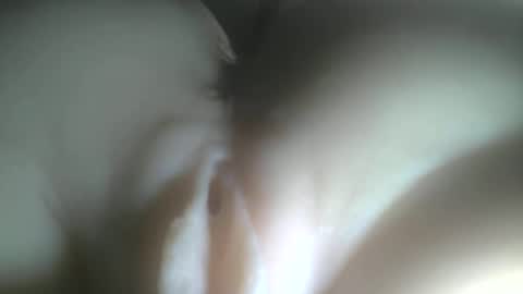 Snapshot of protecbuzz chatting on February 3, 12:42 am needtocum online show from February 3, 12:42 am