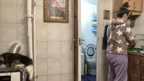 Snapshot of proud_sweet_21 chatting on February 1, 11:47 pm proud sweet 21 online show from February 1, 11:47 pm