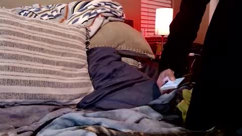 Snapshot of psilocipher chatting on February 10, 7:56 am Sk8wave online show from February 10, 7:56 am