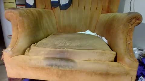 pspee313 online show from November 1, 11:18 pm