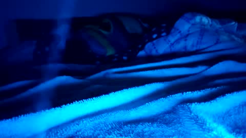 ptut82 online show from February 15, 9:41 am