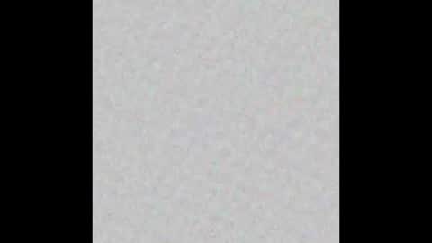 Public online show from January 13, 9:03 am