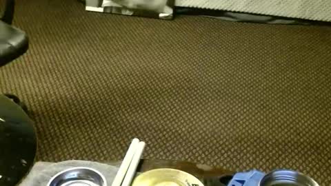 Jojo online show from November 23, 6:46 am