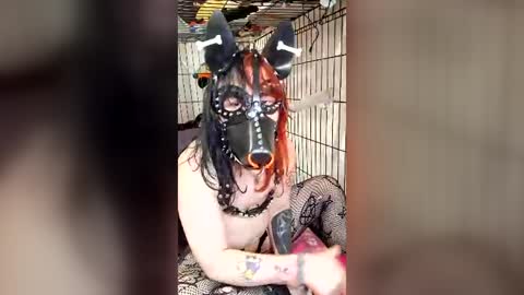 Pup Maxie HeHim online show from July 31, 6:29 pm