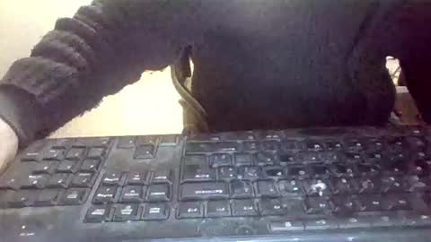 Snapshot of pup_y chatting on January 31, 7:11 pm pup_y online show from January 31, 7:11 pm