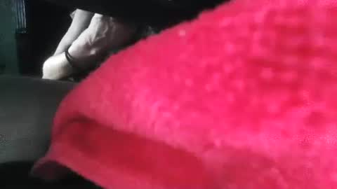 Snapshot of puppah626 chatting on January 1, 5:00 pm Puppah626 Phoenyx 39s Room online show from January 1, 5:00 pm