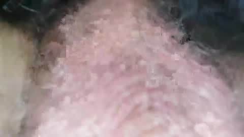 Snapshot of puppah626 chatting on January 1, 8:04 pm Puppah626 Phoenyx 39s Room online show from January 1, 8:04 pm
