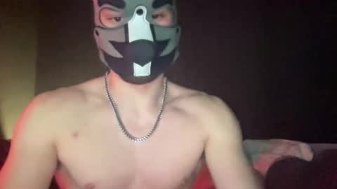 puptravel online show from January 14, 3:01 am