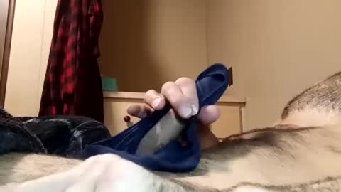 Pussyluver520 online show from July 28, 12:34 pm