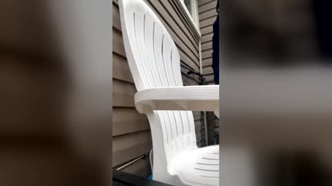 pyrex8 online show from January 13, 3:17 pm