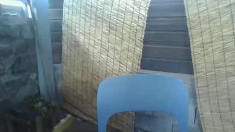 Python online show from March 10, 2:27 am