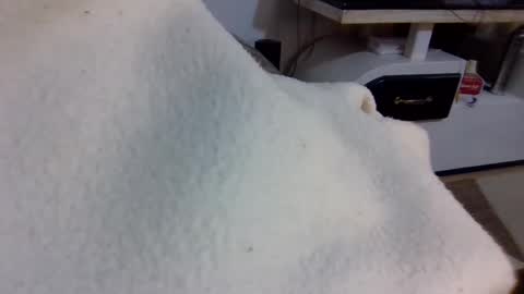 Snapshot of queen014 chatting on December 2, 10:27 pm queen014 online show from December 2, 10:27 pm