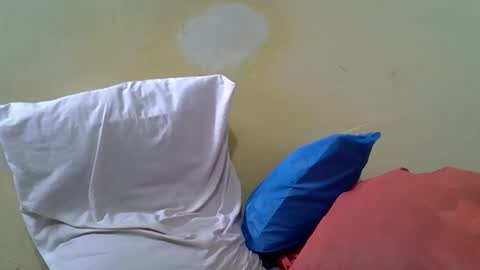 Gentrix online show from February 23, 11:51 am