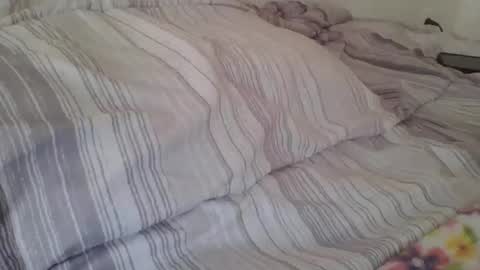 Snapshot of queenlavish chatting on November 14, 2:49 pm queenlavish online show from November 14, 2:49 pm