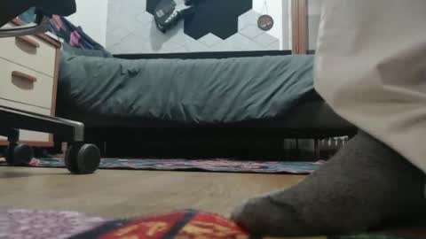 Raccoon68 online show from December 20, 7:32 pm