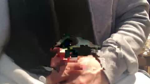 Raccoon68 online show from April 8, 12:16 pm